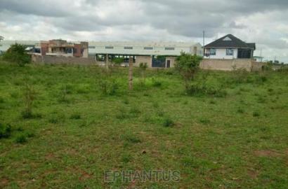 40 by 80 Plot Tola Estate Juja