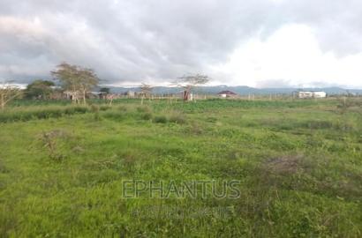 Prime 50 by 100 Plots in Joska-Kamulu