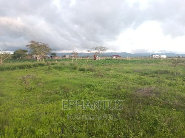 Prime 50 by 100 Plots in Joska-Kamulu