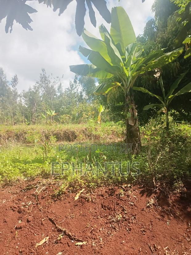 2 Acres for Sale in Kenyatta Road Kimunyu Area