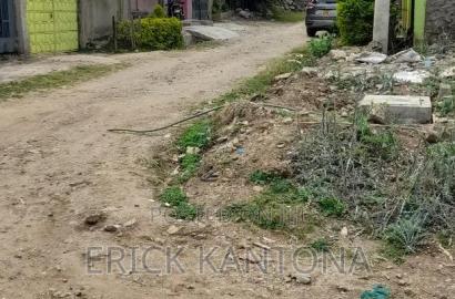 Titled 2pcs of 33*66 Commercial Plot at Kirinyagah Court Kibiku Utawala