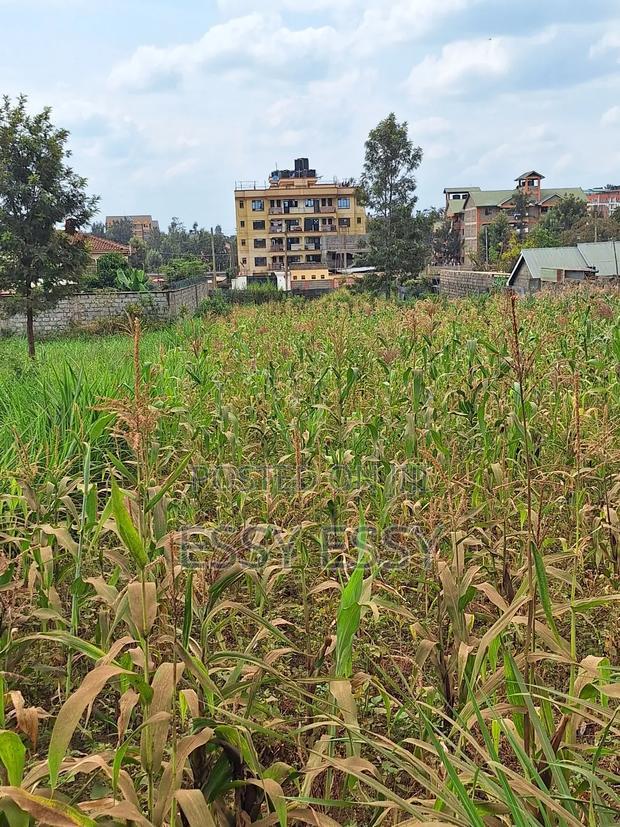 Kamiti Road 1/4 Commercial Acre Plot