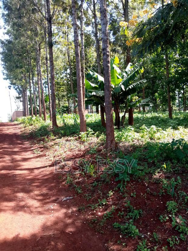 Ruiru Mugutha 100 by 100
