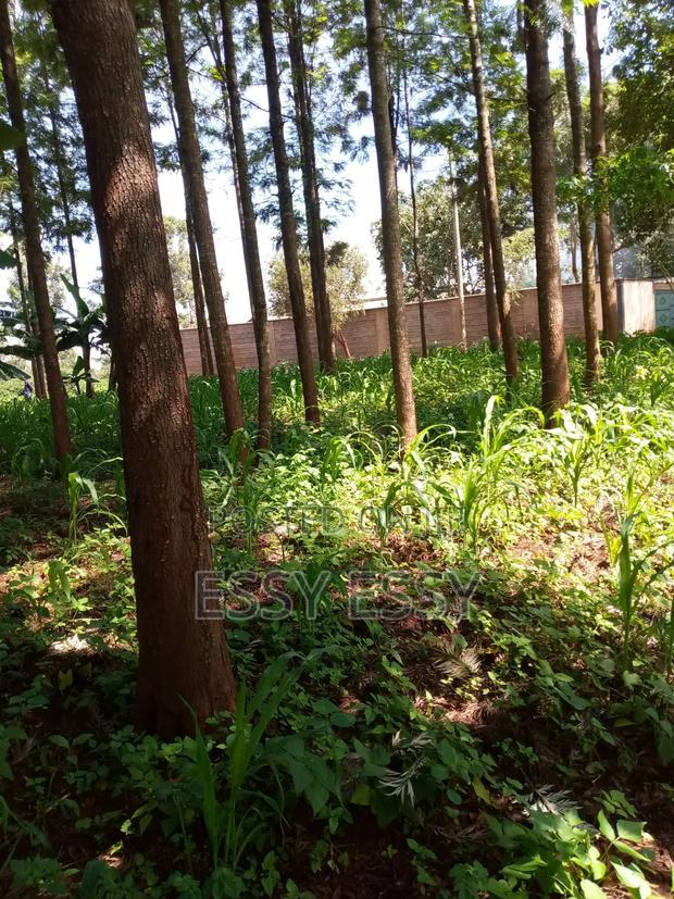 Ruiru Mugutha 100 by 100