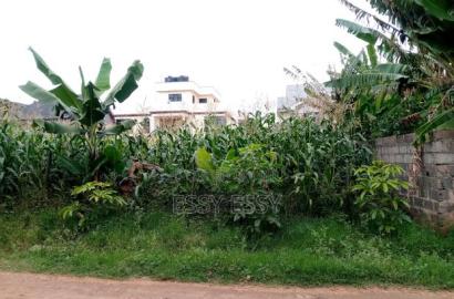 Kenyatta Road 40 by 80 Residential Plot