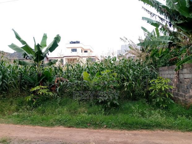 Kenyatta Road 40 by 80 Residential Plot