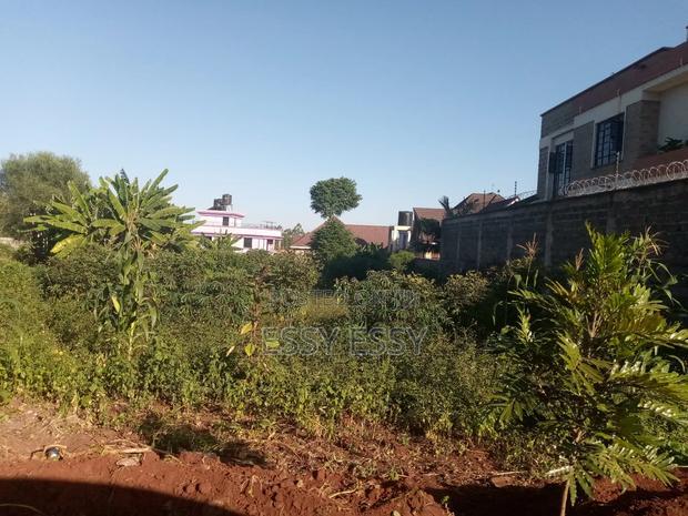 Ruiru Ukombozi Estate 50 by