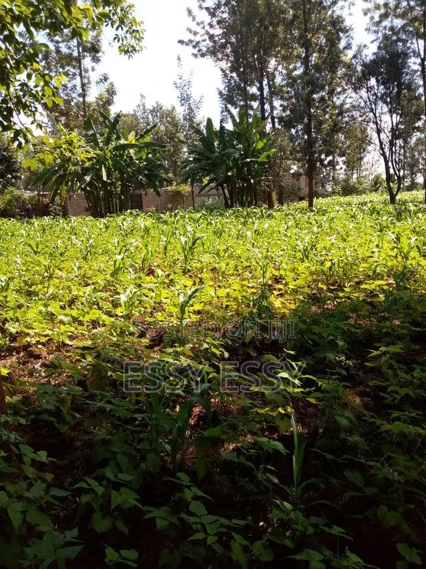 Ruiru Mugutha 100 by 100