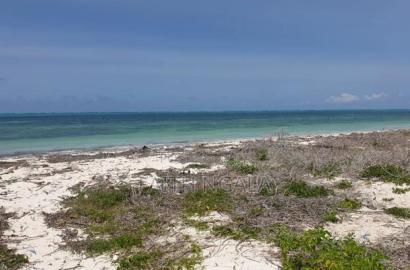 For Sale 10acres Beachfront Land in Watamu