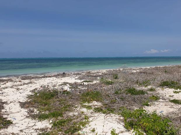 For Sale 10acres Beachfront Land in Watamu