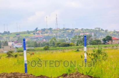 Unveiling New Malaa's 50 by 100 Plots