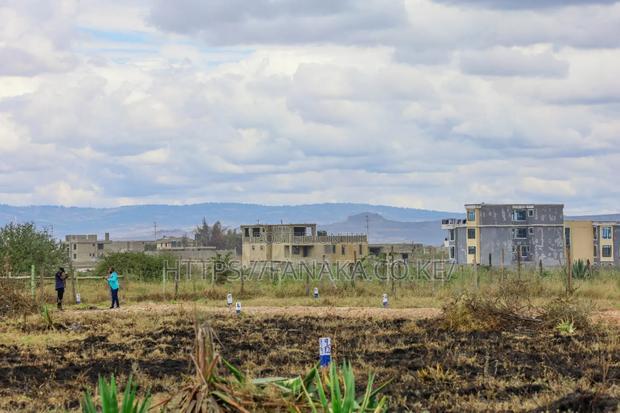 Katani Controlled Plots