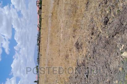 Kantafu 50 by 100 Plots,