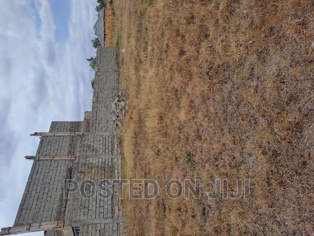 Malaa Plots Ready to Settle at 1.1mw^