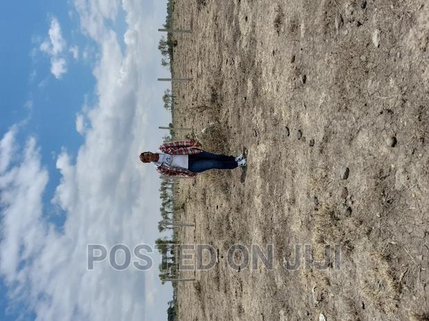 Plots Along Thika Road