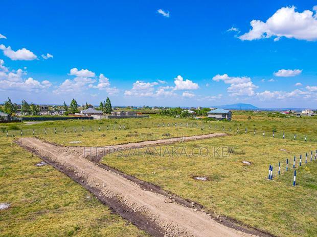 Katani Plots at 1.6M