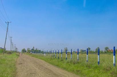 Cheap Plots in Kamakis