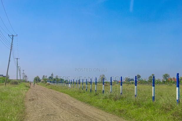 Cheap Plots in Kamakis