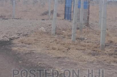 Cheap Plots in Kantafu
