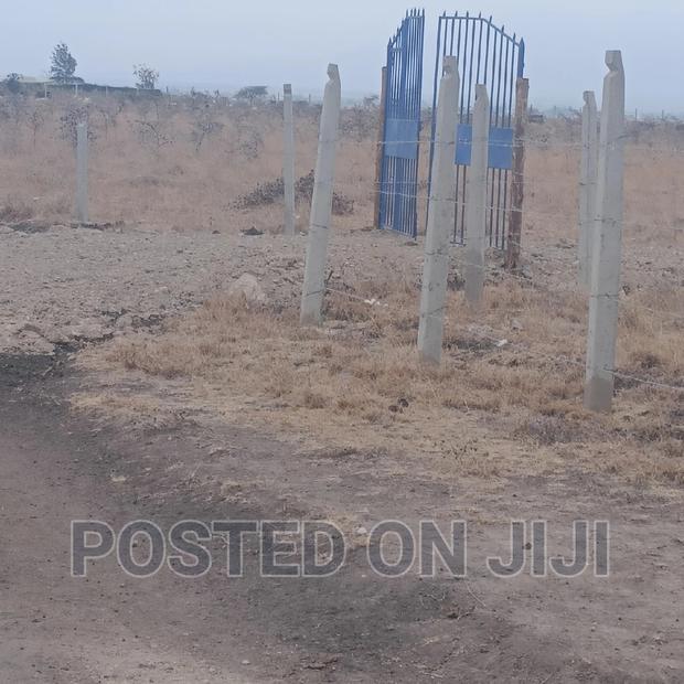 Cheap Plots in Kantafu