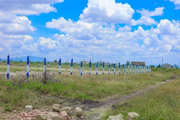 Cheap Katani Plots