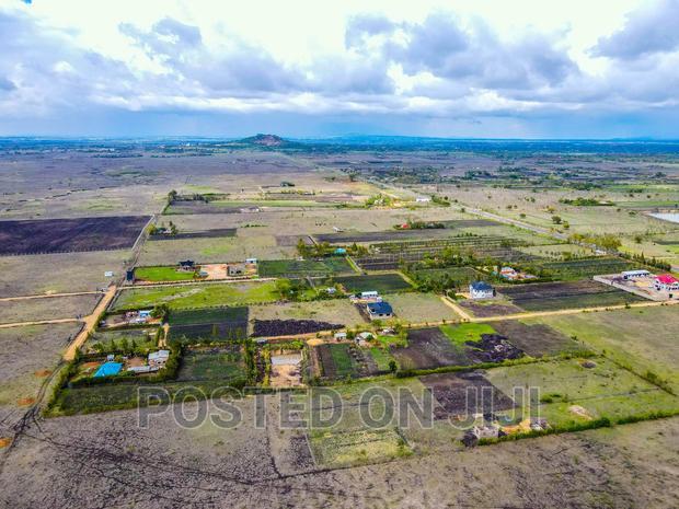 Affordable Prime Plots