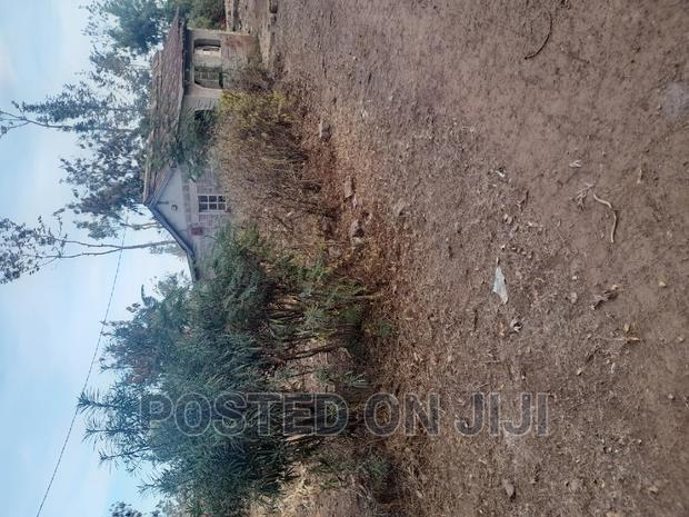 Best Land Deals