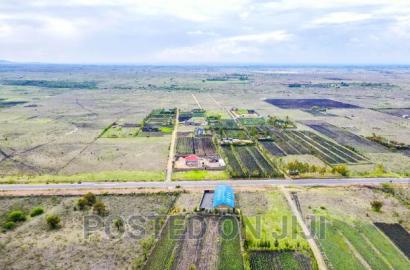 Prime Koma Plots for Sale.