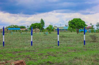 Cheap Plots in Kamakis