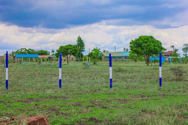 Cheap Plots in Kamakis