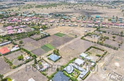 Plots for Immediate Settlement