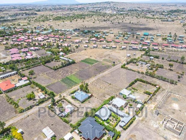 Plots for Immediate Settlement