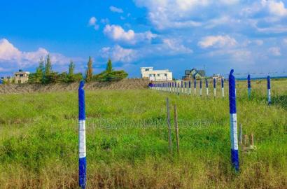 Avenue Court , 1/8th Acre in Kamakis