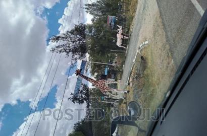1/8th Acre Plots in Koma 750