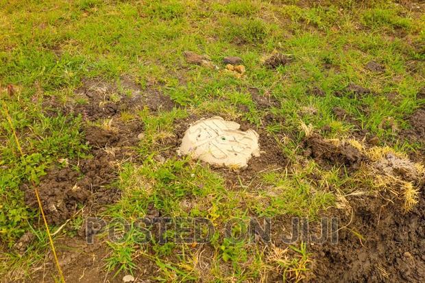 Affordable Plots in Ruiru Kamakis