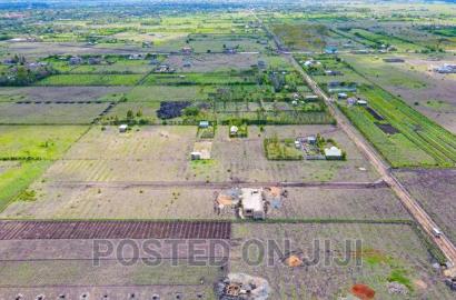 Residential Plots in Jujafarm 50*100