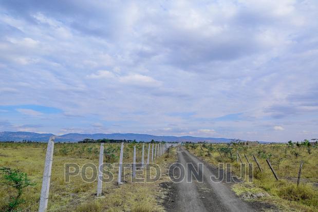 Magnificent Plots for Sale