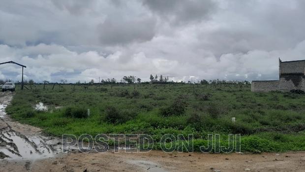 Phenomenal Plots for Sale