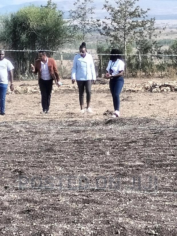 Prime Plots for Sale, Ready for Immediate Settlement