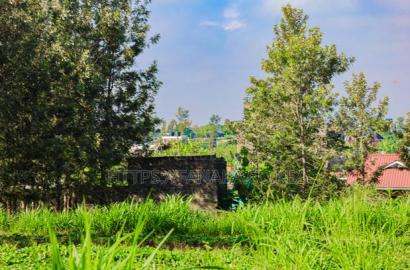 Ruiru - Mugutha 50 by 100 Plots for Sale
