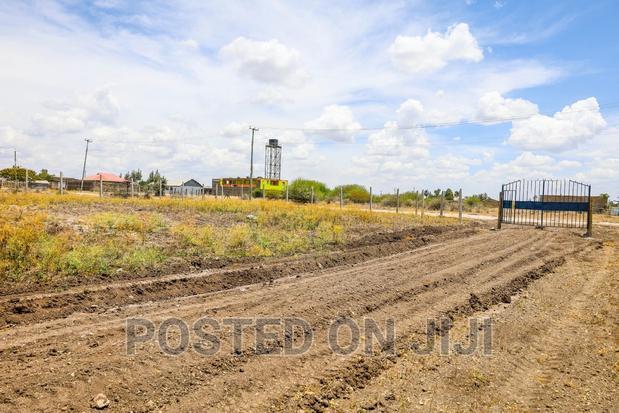 Plots in Malaa