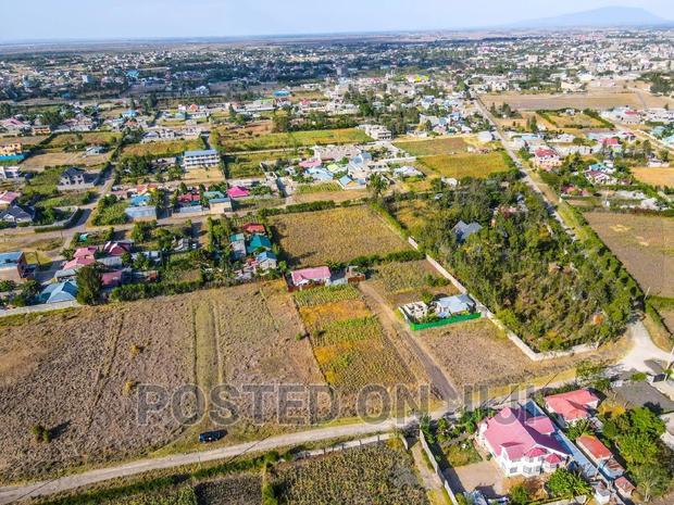Noble Prime Plots for Sale