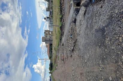Syokimau-Katani Genuine Plots Ww^