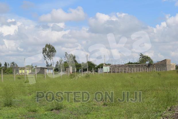 Cheapest Plots in Juja Farm - CK