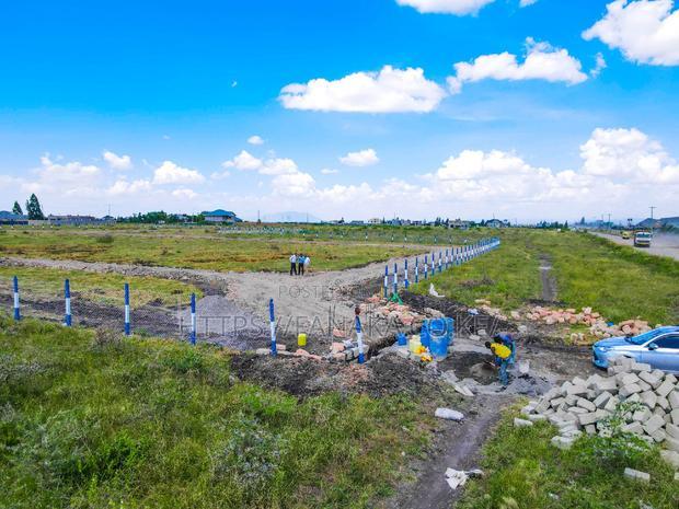 Katani Plots at 1.6M