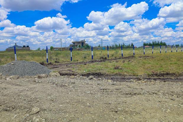 Cheap Katani Plots