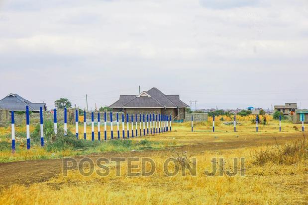 Plots in Murera