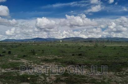 Phenomenal Plots for Sale