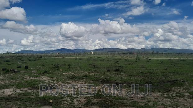 Phenomenal Plots for Sale