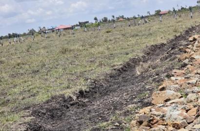Well-Developed Gated Plots in Ruiru-Kamakis